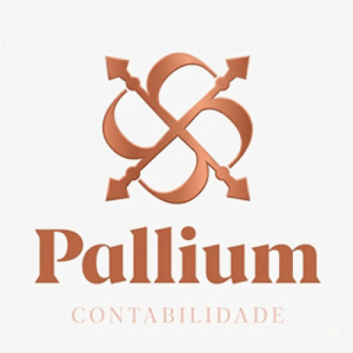 palluim-contabilidade-3